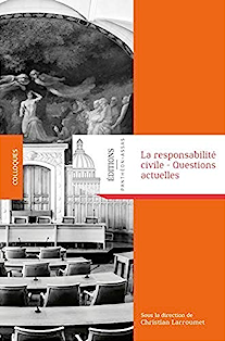 la-reponsabilite-civile-questions-actuelles-couv.png